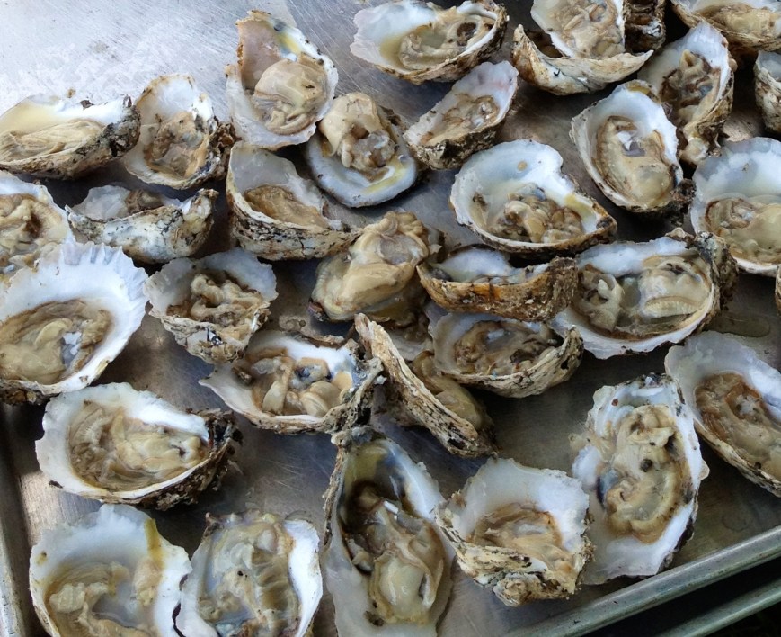 Oysters from LRNow 2012