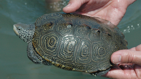 Photo credit: Kevin Dubois