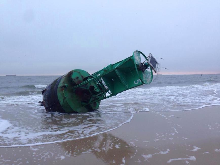 Washed up on Ocean Park beach! Photo Credit: Trista Riley Imrich of LRNow