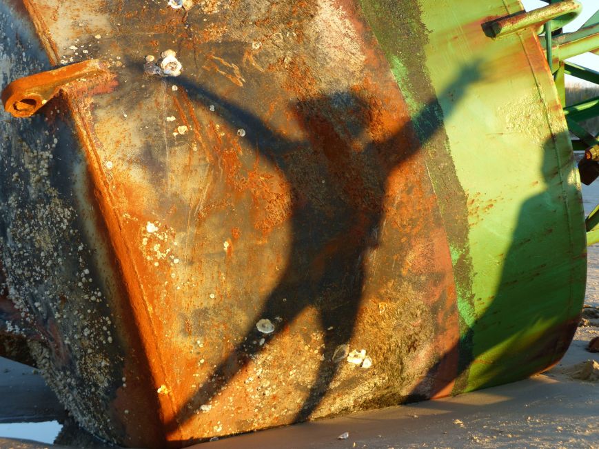  Photo Credit: Tim Solanic