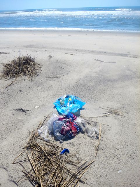 Photo Credit: Mary Reid Barrow article on balloon litter that kills.