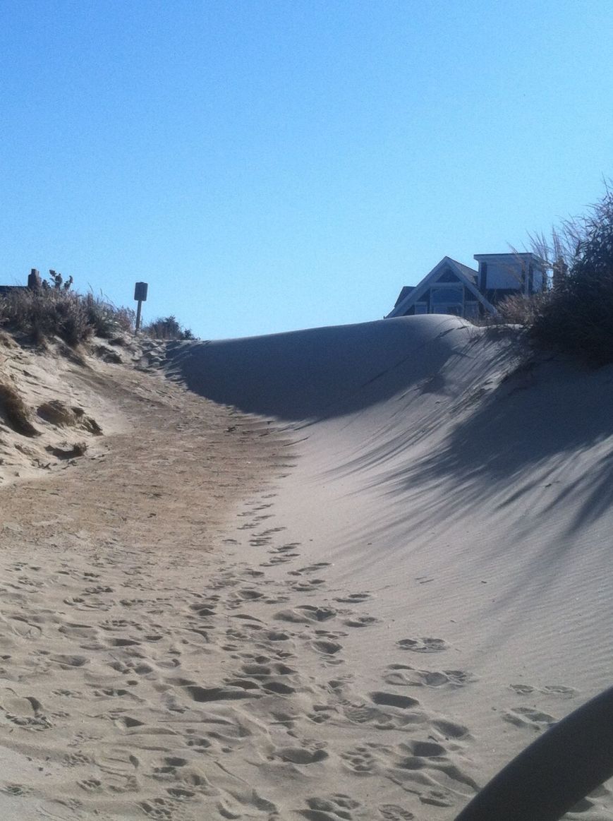 A wall of sand on the Jefferson-Raleigh Beach Path in Ocean Park. Photo swiped from Linda from OP Facebook Group page.