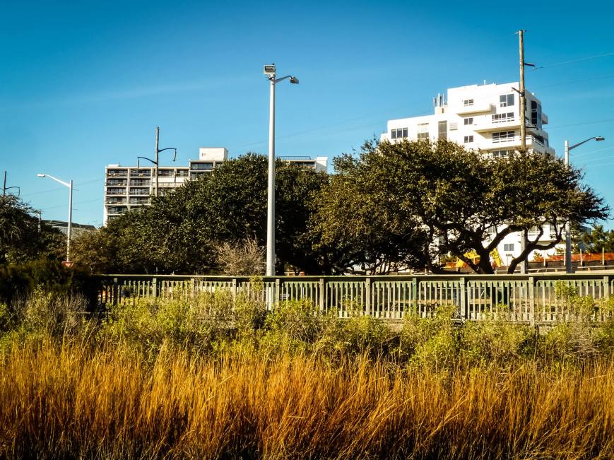 10869820_10154981654915251_6288584450173955274_o