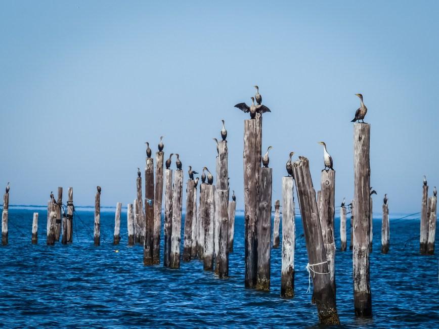 Photo Credit: Tim Solanic