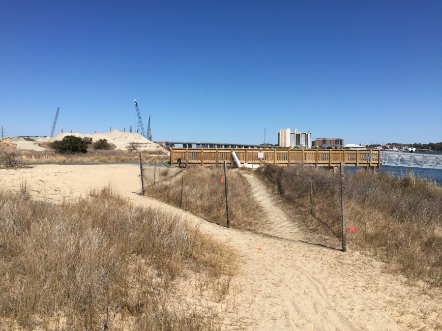 Photo of stakes & goose fencing built by volunteers that was destroyed