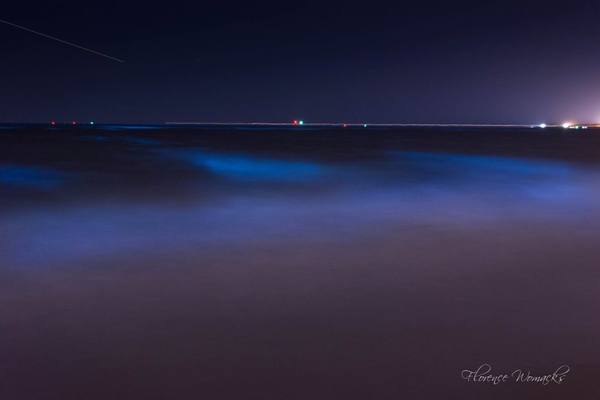 Photo Credit: Florence 'Flo' Womacks