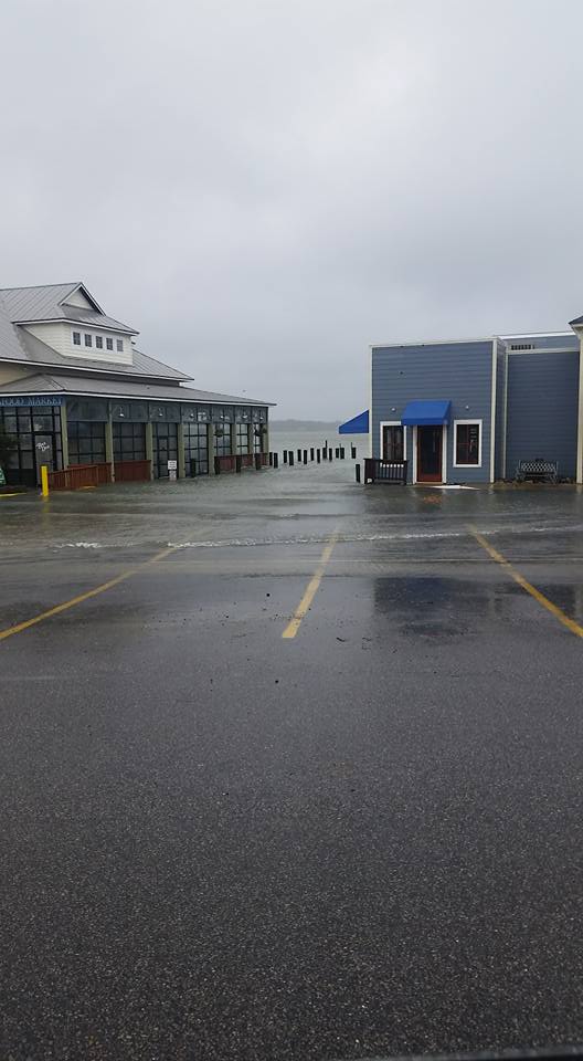 12063816_10204813499285951_7970987929679195618_n