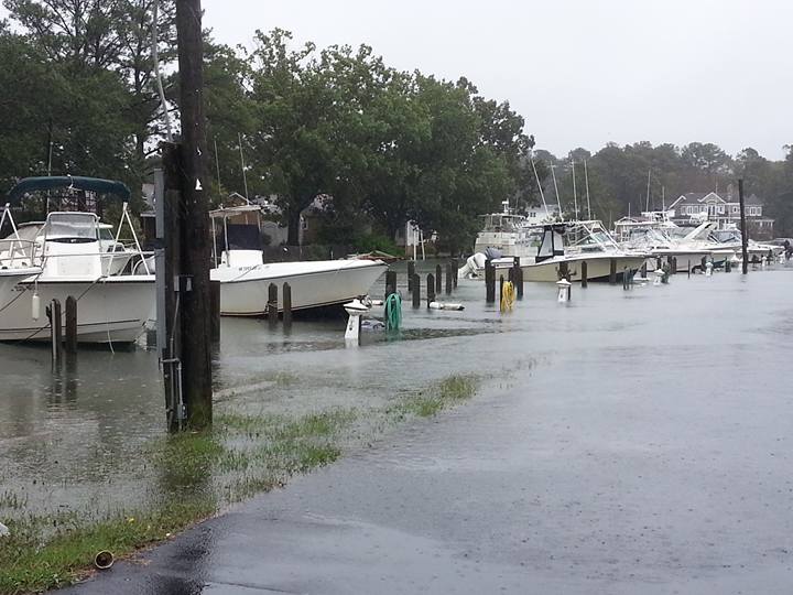 12079518_1165034690179371_280783545383695679_n