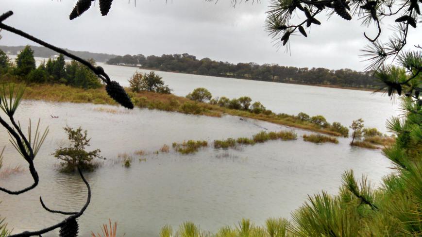 Pleasure House Point at Tanager Finger on right new future wetland mitigation bank on left.