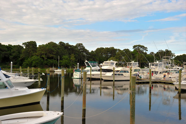 Photo Credit: Marina Shores Marina website